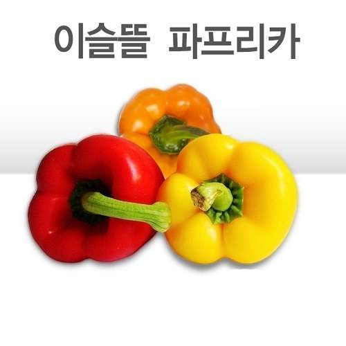 [이슬뜰영농조합법인] 파프리카(2Kg, 10-12Ea정도, 개별포장) 매주 화,금 발송 