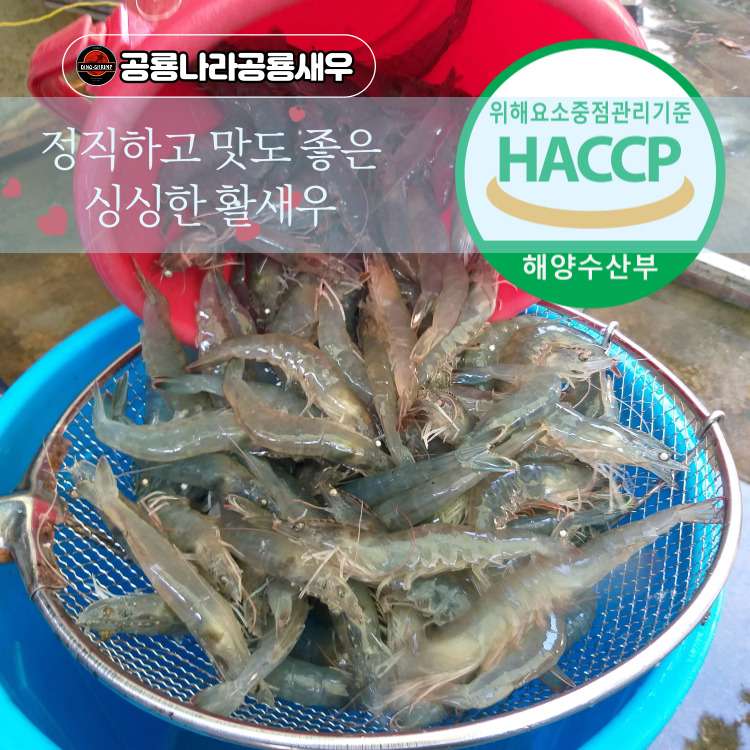 [태풍과학수산원] 활새우 500g, 1kg 