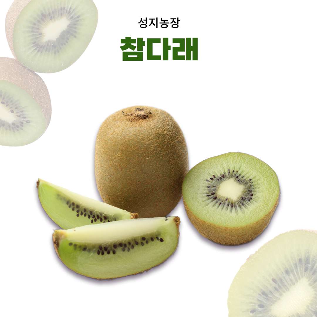 [성지농장] 유기농 참다래 5Kg(옵션선택)