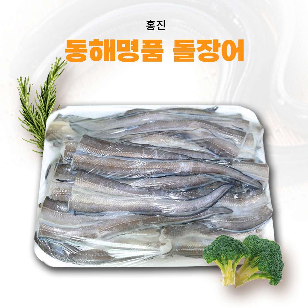 [홍진] 돌장어 2kg(35~40마리 내외)