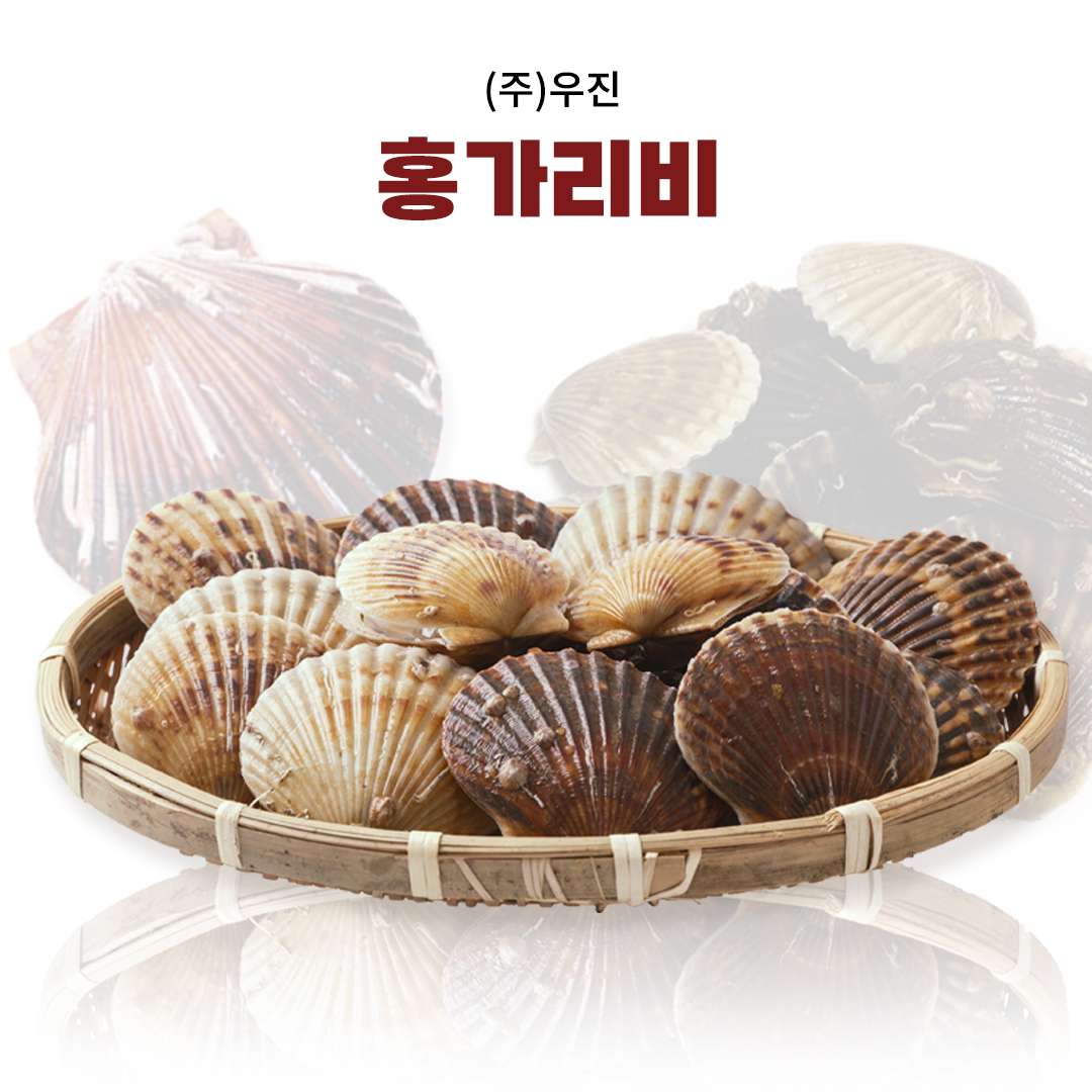 [㈜ 우진] 홍가리비(3kg, 5kg, 7kg, 10kg)