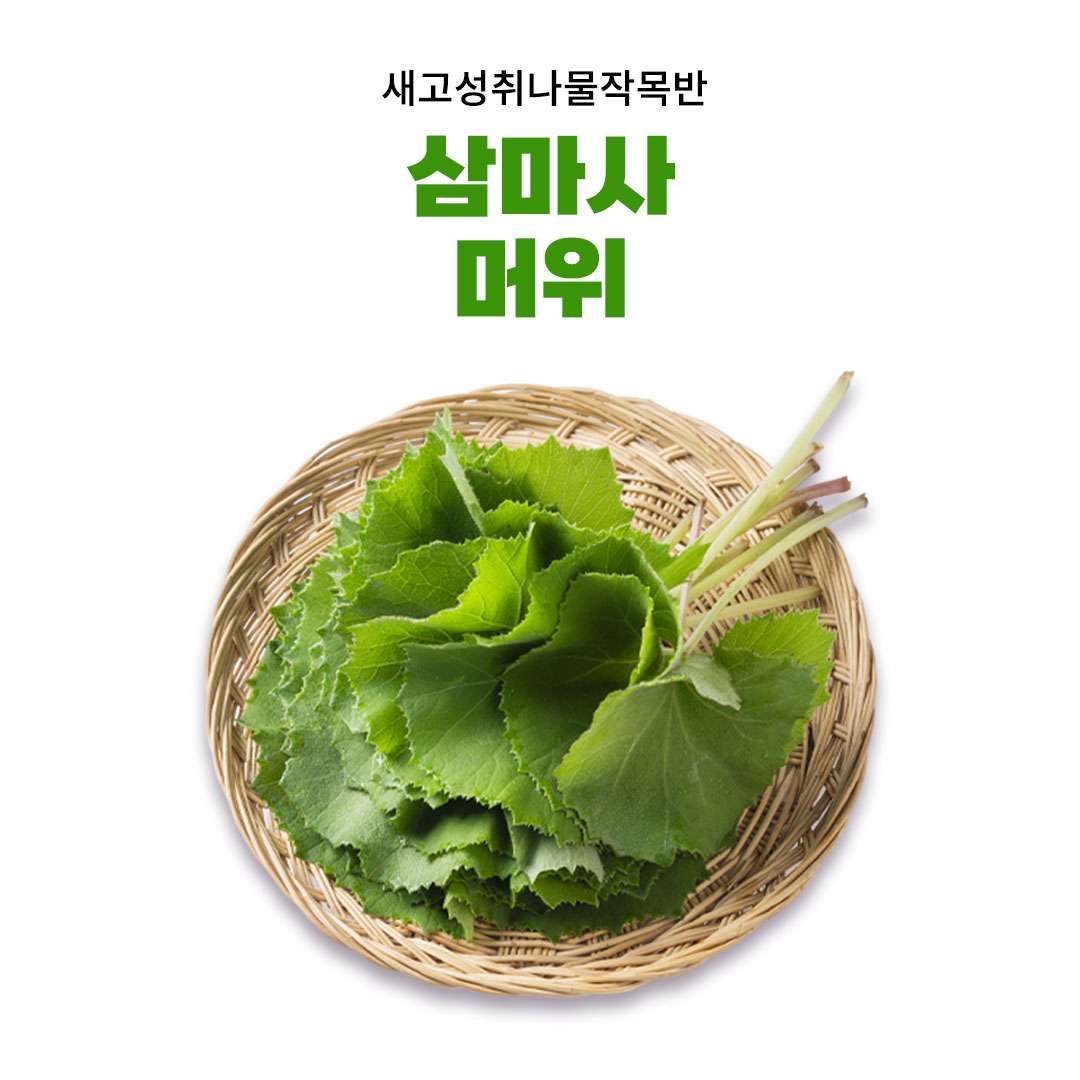 [새고성취나물작목반] 삼마사 유기농 머위(옵션선택)