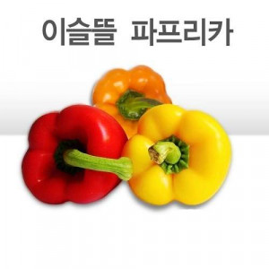 [이슬뜰영농조합법인] 파프리카(5Kg, 26-30Ea정도, 개별포장) 매주 화,금 발송