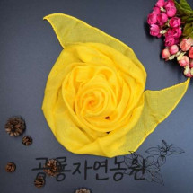[공룡자연농원] 치자 텐셀 스카프