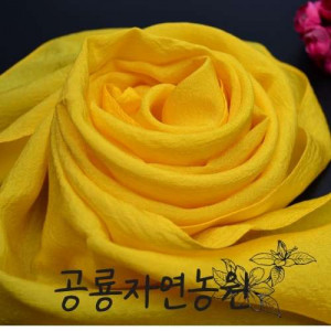[공룡자연농원] 치자 인견 스카프