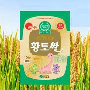 [농업회사법인 주식회사 두보] ★2025년★소가야황토쌀 20Kg