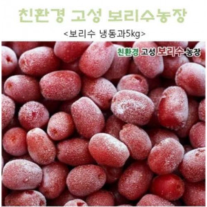 [고성보리수] 유기농 보리수열매 효소용 냉동과 5kg  *2026년에 만나요~*