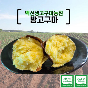 [백선생고구마농원]2025년산 밤고구마 -대  (5kg, 10kg)