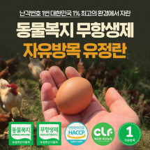 [대가농장] 유정란(30구)  *전국 최저가 도전* 2,000원 할인행사중!! 