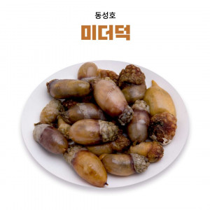 [동성호]미더덕