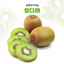 [달콤한키위숲]유기농 참다래 5kg