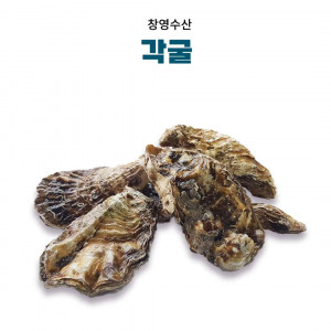[창영수산]각굴 5Kg 