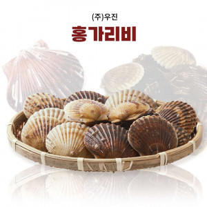 [㈜ 우진] 홍가리비(3kg, 5kg, 7kg, 10kg)