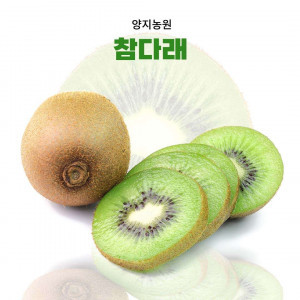 [양지농원] 무농약 못난이 참다래 10Kg(옵션선택)  