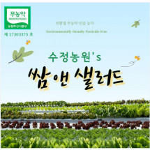 [수정농원] 쌈앤 샐러드 (옵션선택)  