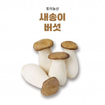 [토이농산]새송이버섯(미니)2kg 