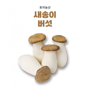 [토이농산] 새송이버섯(특)2Kg 