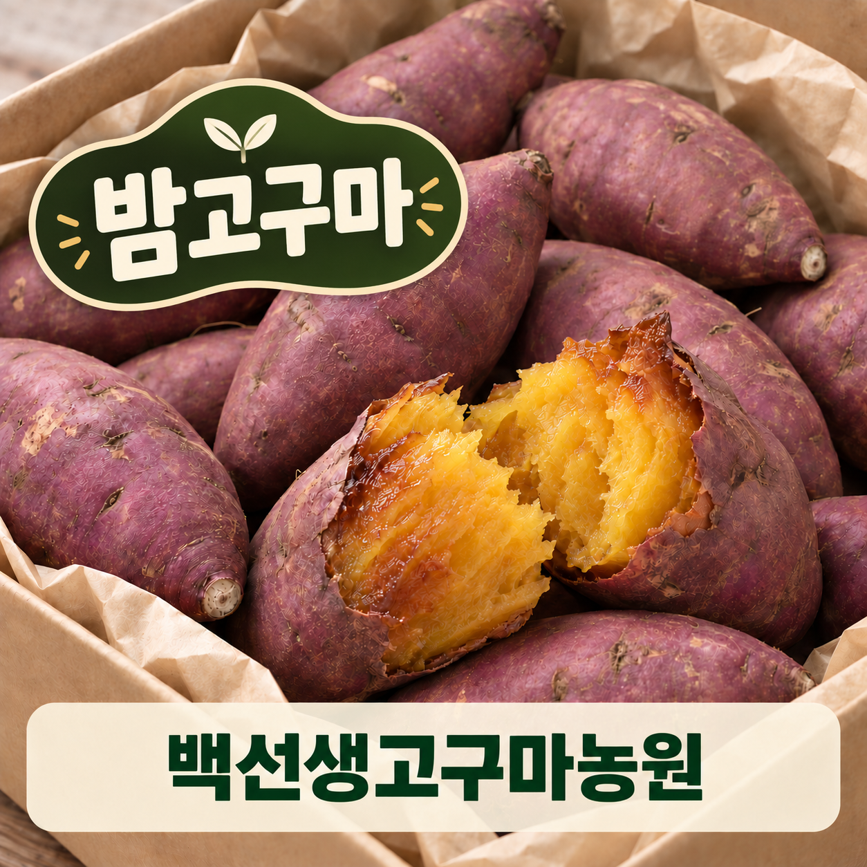 [백선생고구마농원] 2026년산  밤고구마(5kg, 10kg)
