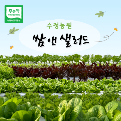 [수정농원] 쌈앤 샐러드 (옵션선택)
