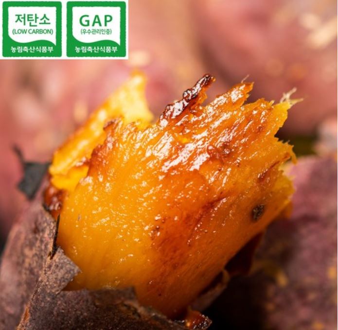 [백선생고구마농원] 2026년산  꿀고구마(5kg, 10kg)