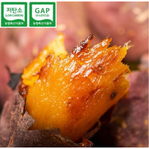 [백선생고구마농원] 2026년산  꿀고구마(5kg, 10kg)